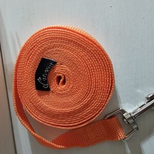 Orange Leash with Metal Clip